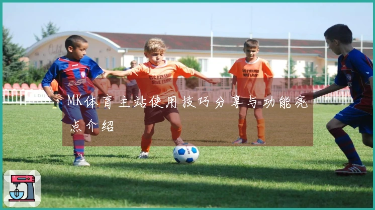 MK体育主站使用技巧分享与功能亮点介绍