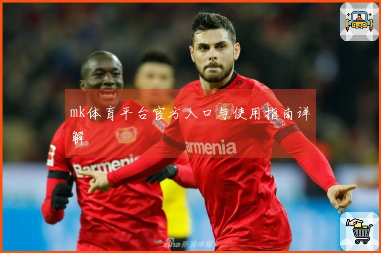 mk体育平台官方入口与使用指南详解